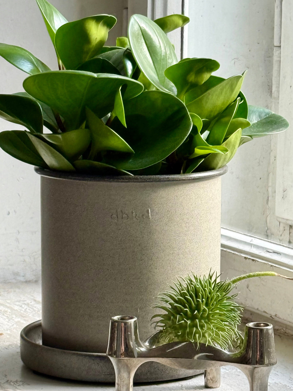 DBKD Plant Pot Small 2-Set, Beige | Scandinavian Metal Plant Pots with Matching Saucers DBKD