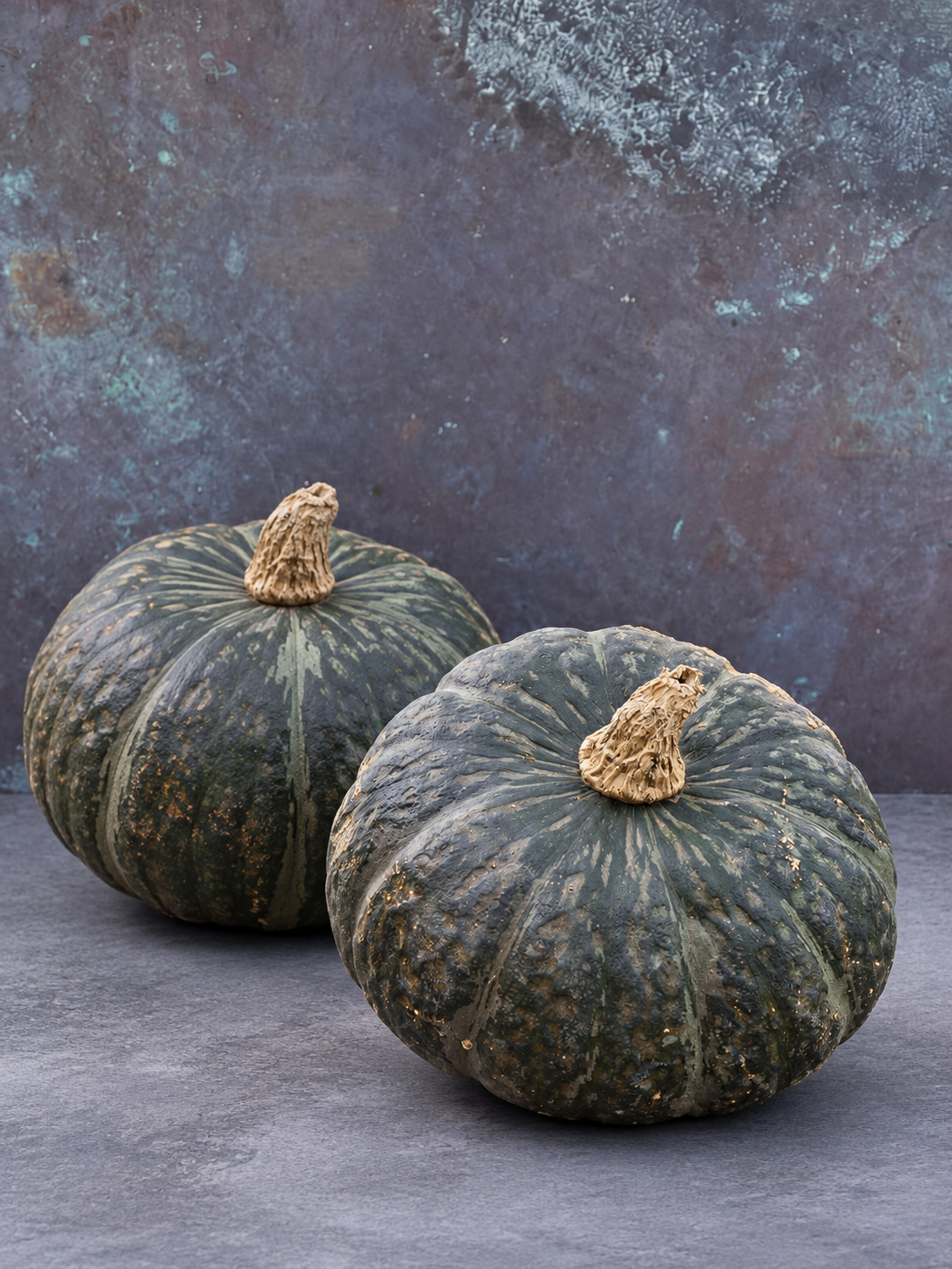 Riesenkürbis Sweet Mama F1 | Cucurbita maxima | Winterkürbis