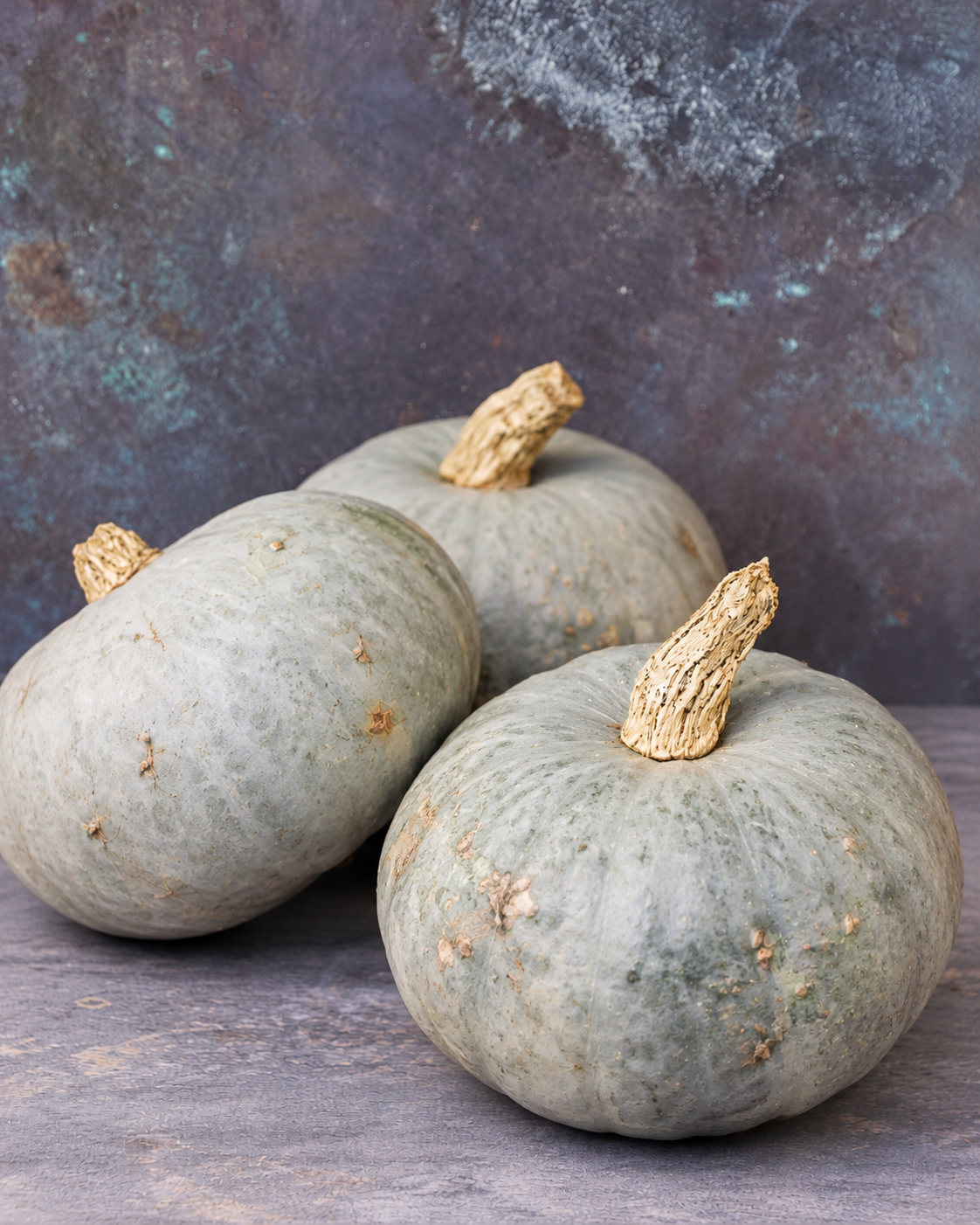 Calabaza DELICA® Moon F1 | Cucurbita maxima | Tipo Kabocha