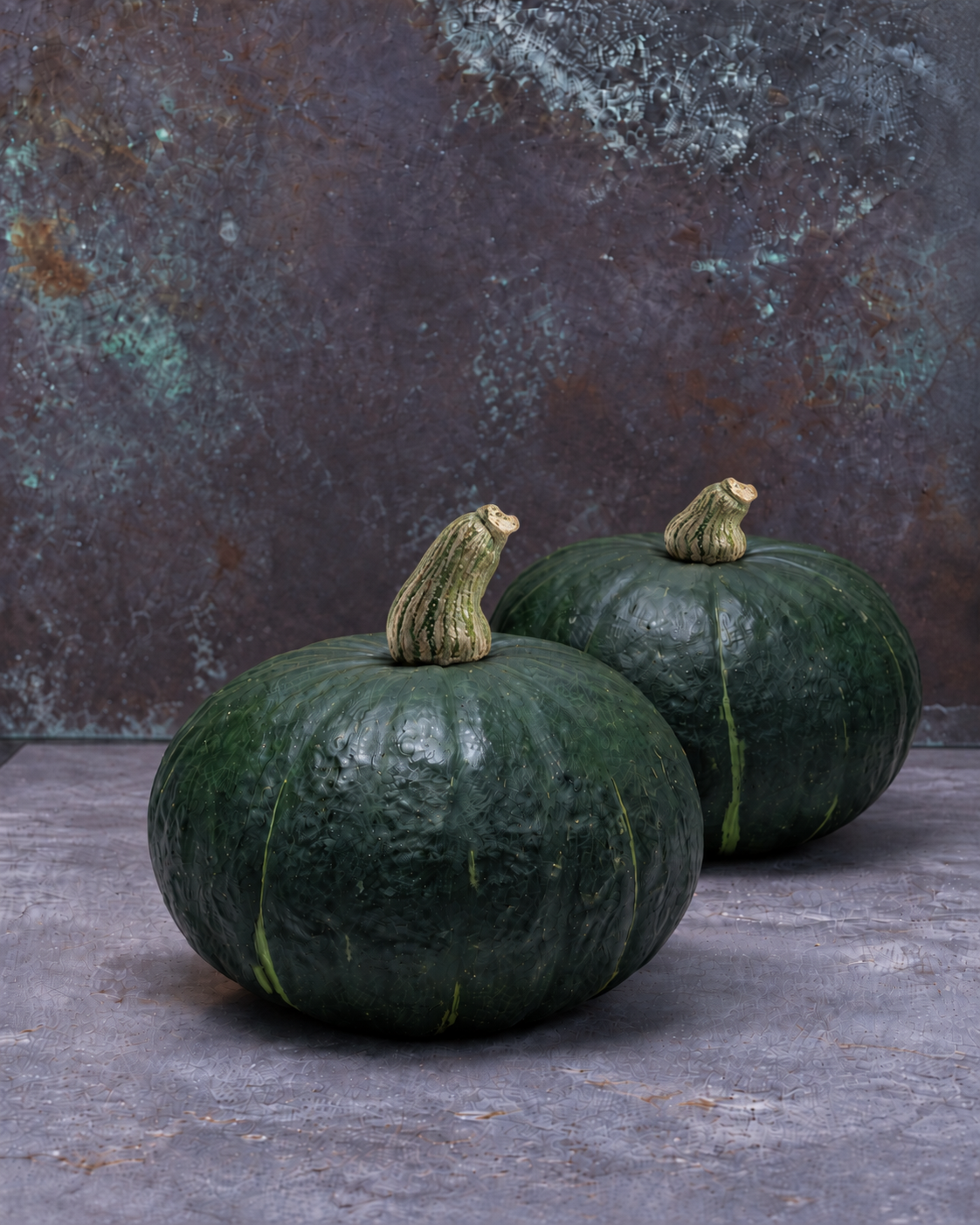Cucurbita maxima Delica® Star F1 | Kabocha Squash