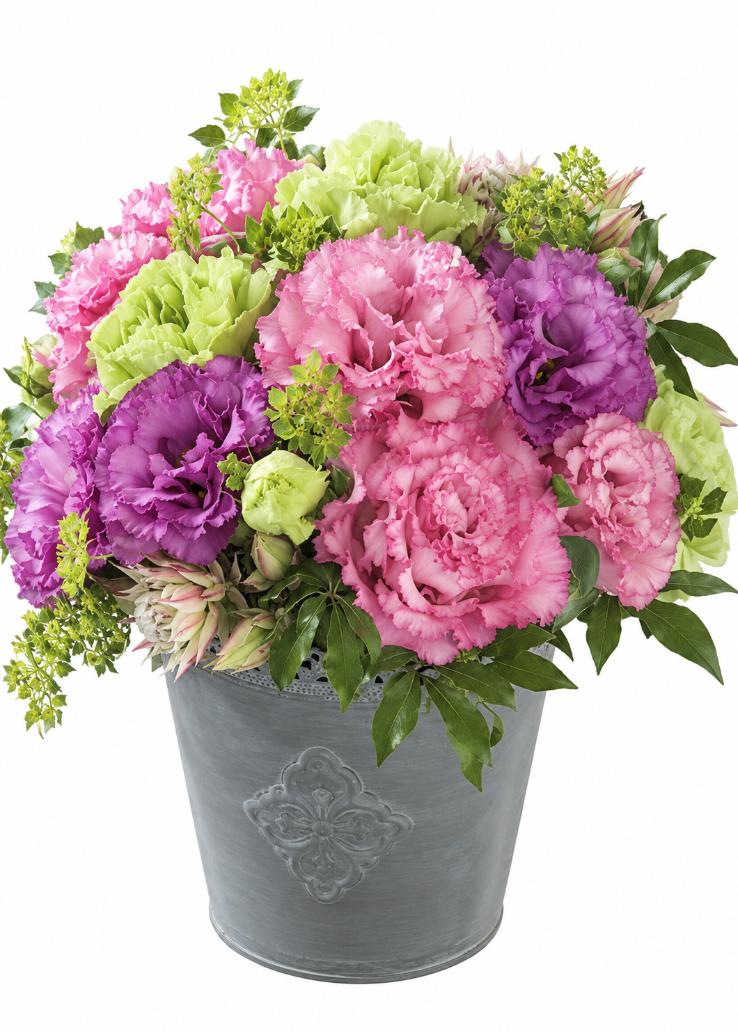 Lisianthus Corelli Sugoi™ Rose Pink F1 | Eustoma grandiflorum | Grupo 2