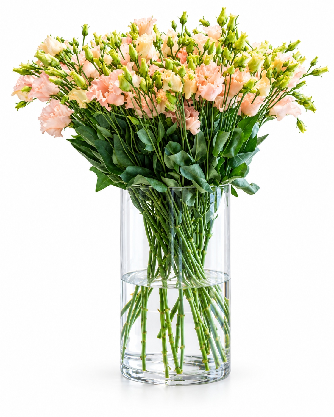 Эустома крупноцветковая Falda™ Light Apricot F1 | Лизиантус | Группа 2