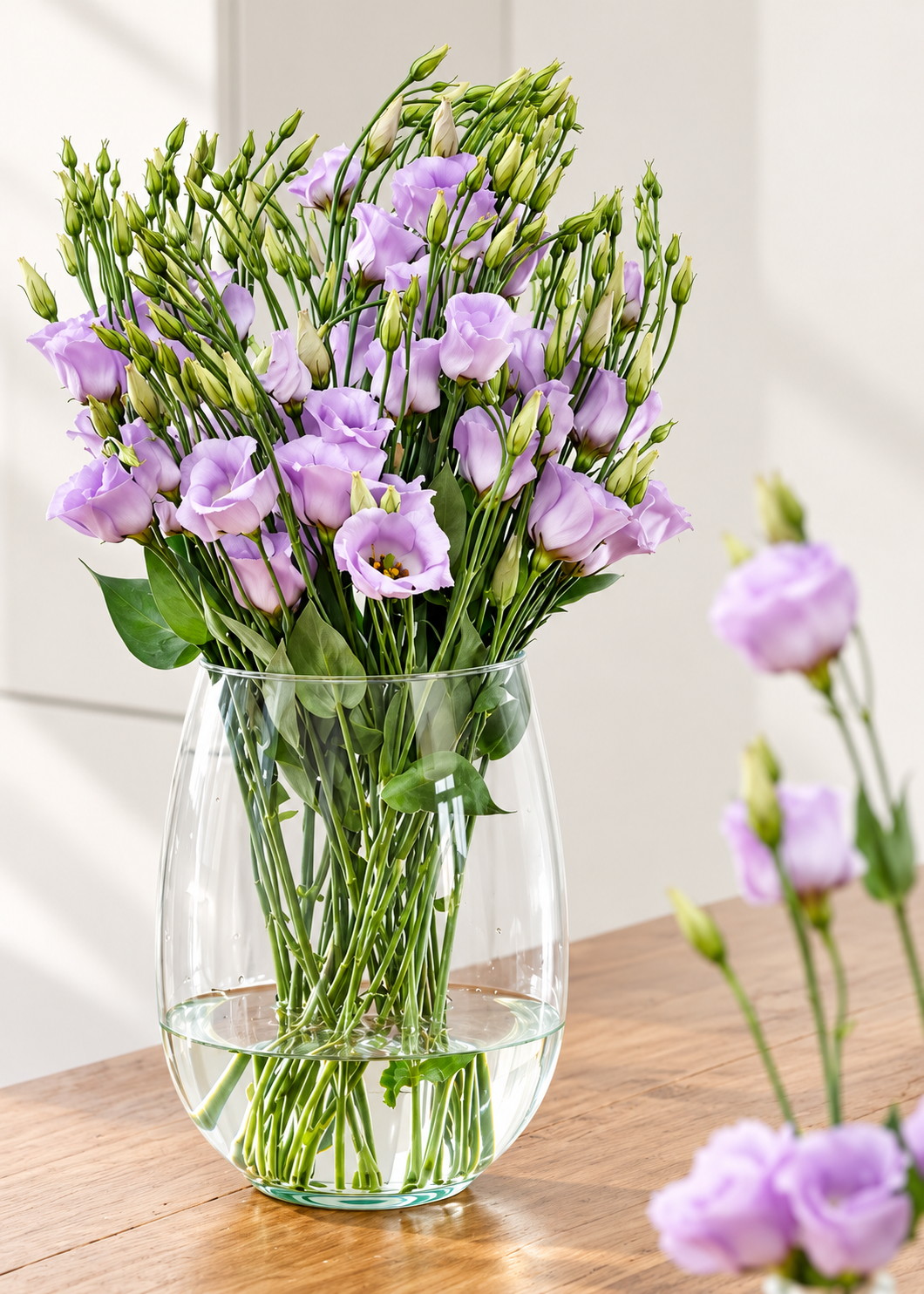 Eustoma grandiflorum Piccolo® Lavender F1 | Group 2 Lisianthus