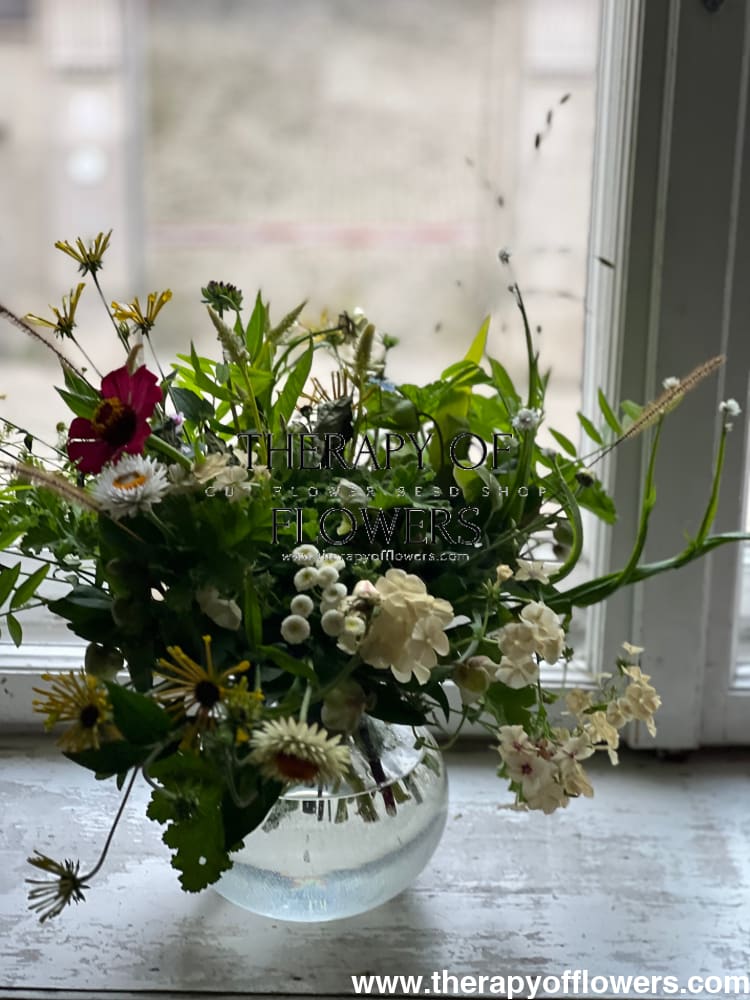 Chasmanthium latifolium Green Dangles | Spangle Grass | Sea Oats therapyofflowers.com