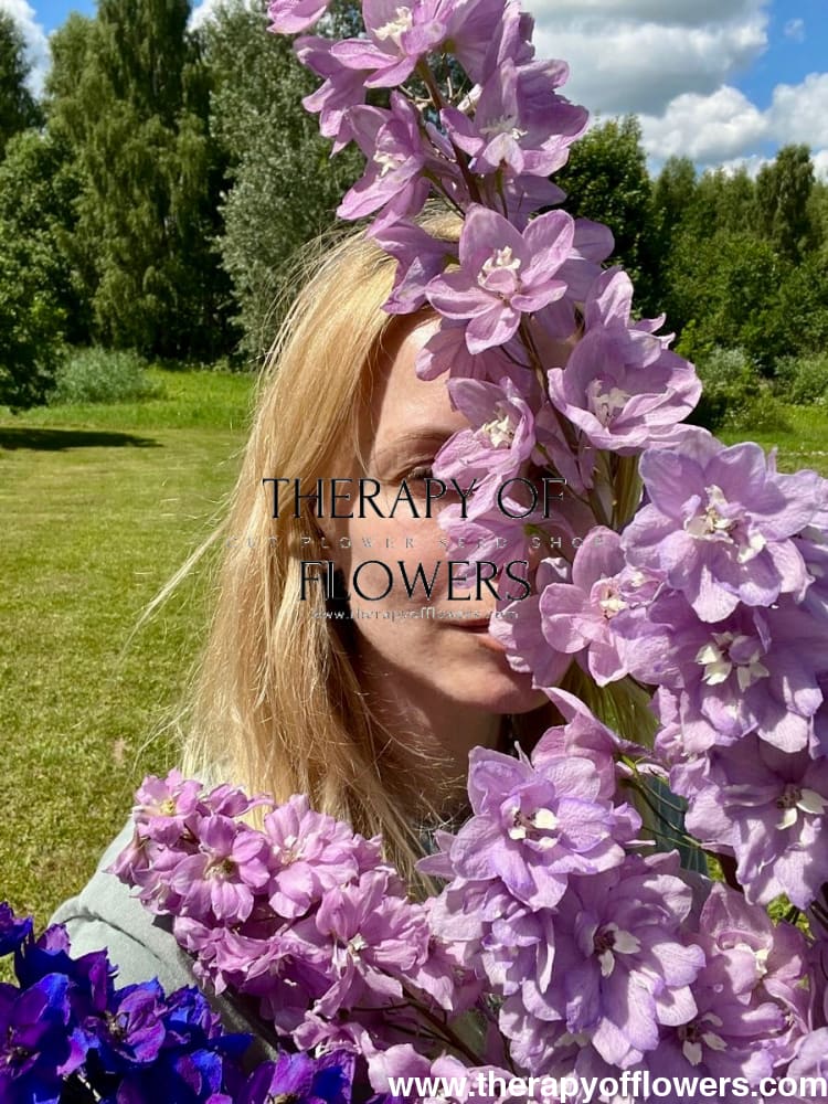 Delphinium elatum Magic Fountains Cherry Blossom White Bee | Delphinium | Excellent as Cut Flower therapyofflowers.com