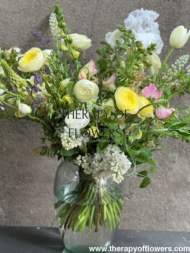 Ranunculus Elegance® BIANCO 1 | Persian Buttercup | Corm size: 4/5 therapyofflowers.com