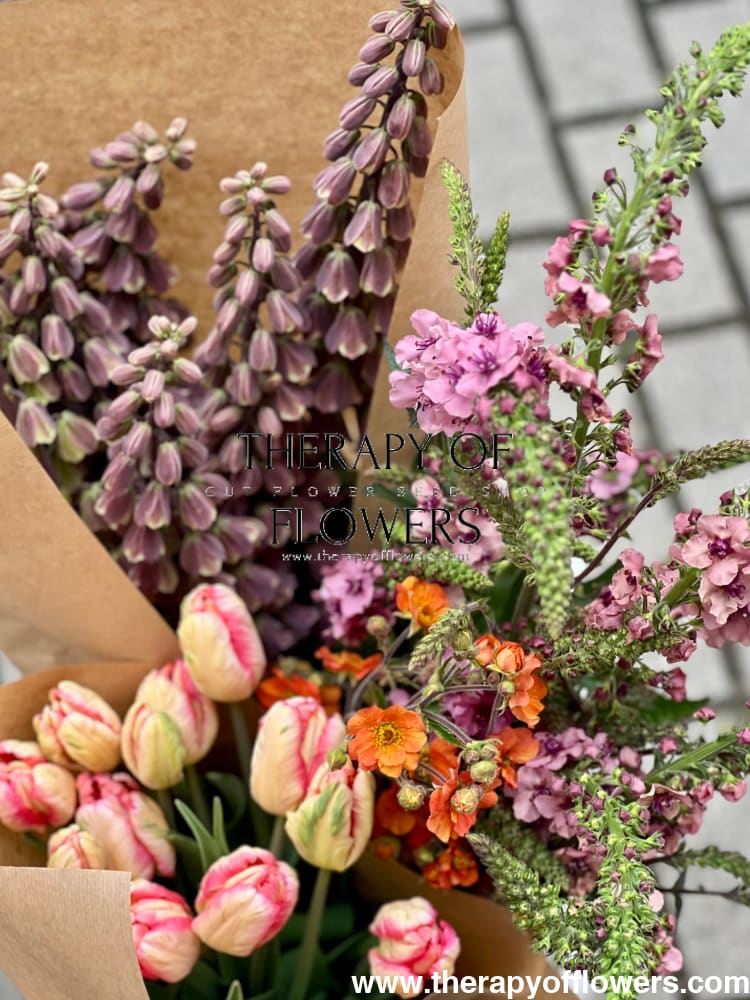 Tulip Salmon Parrot therapyofflowers.com