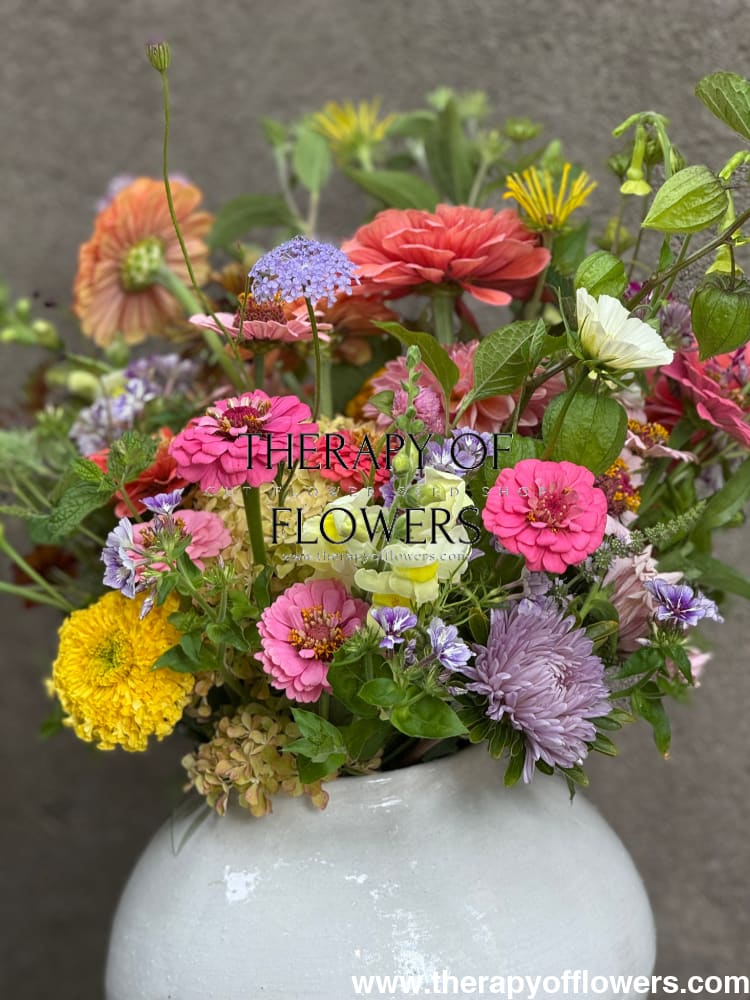 Zinnia elegans OKLAHOMA pink therapyofflowers.com