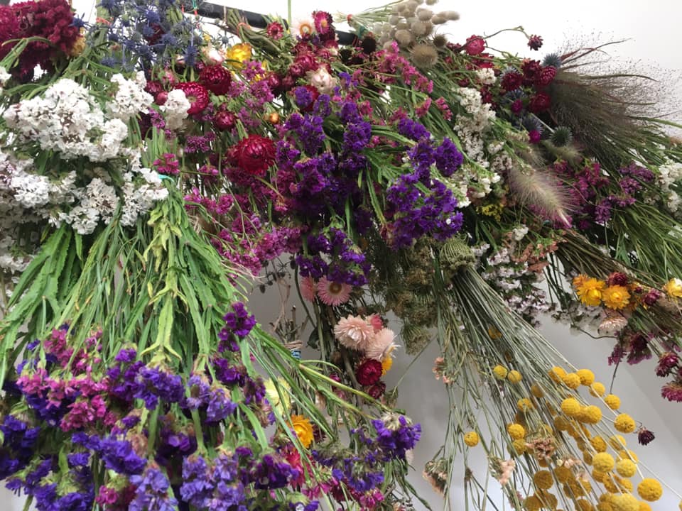 Top 5 Flowers to Grow for Drying – Everlasting Beauty from Your Garden