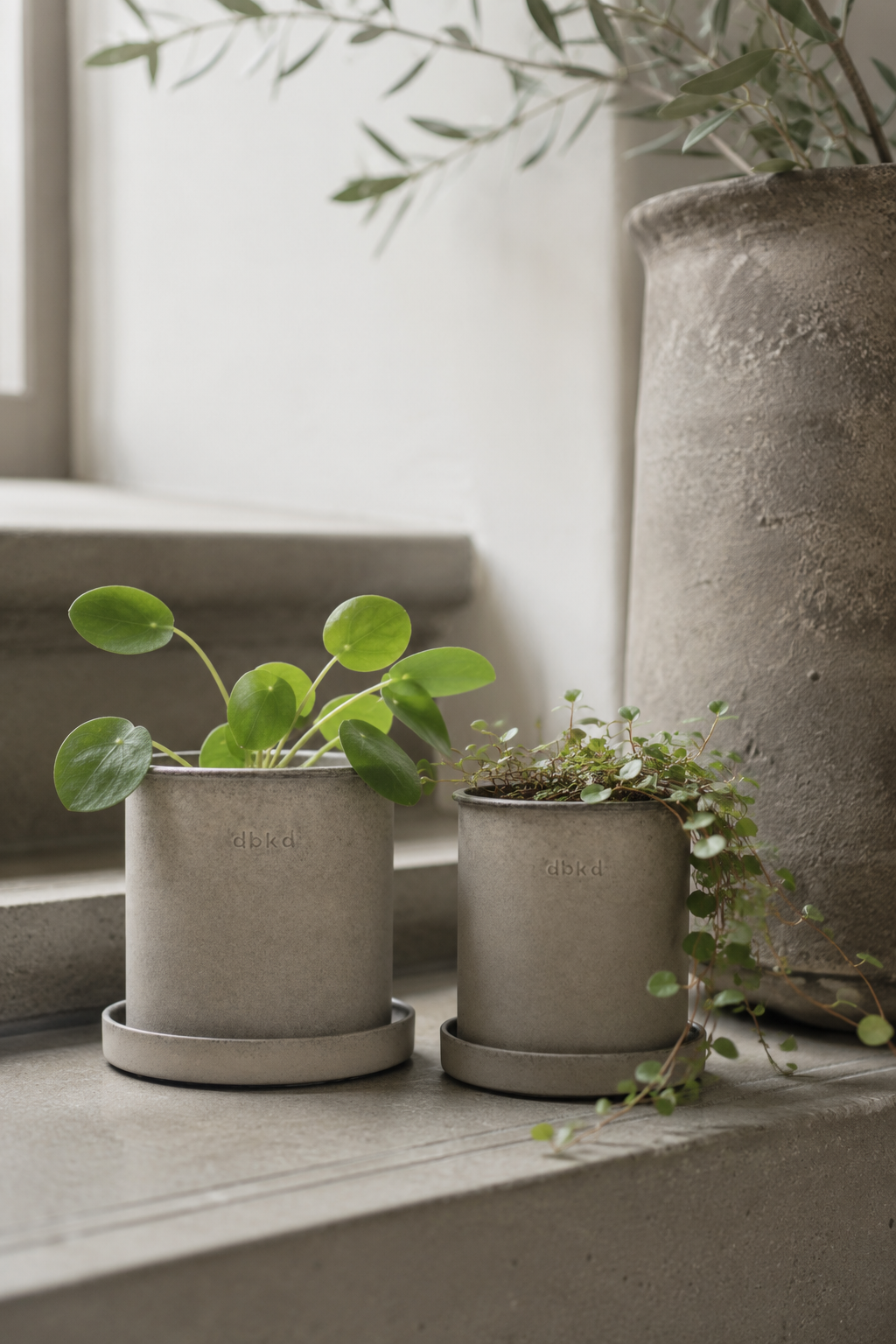 Plant Pots & Planters