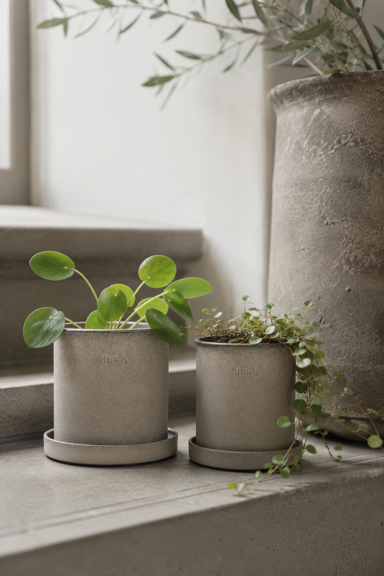 Plant Pots & Planters