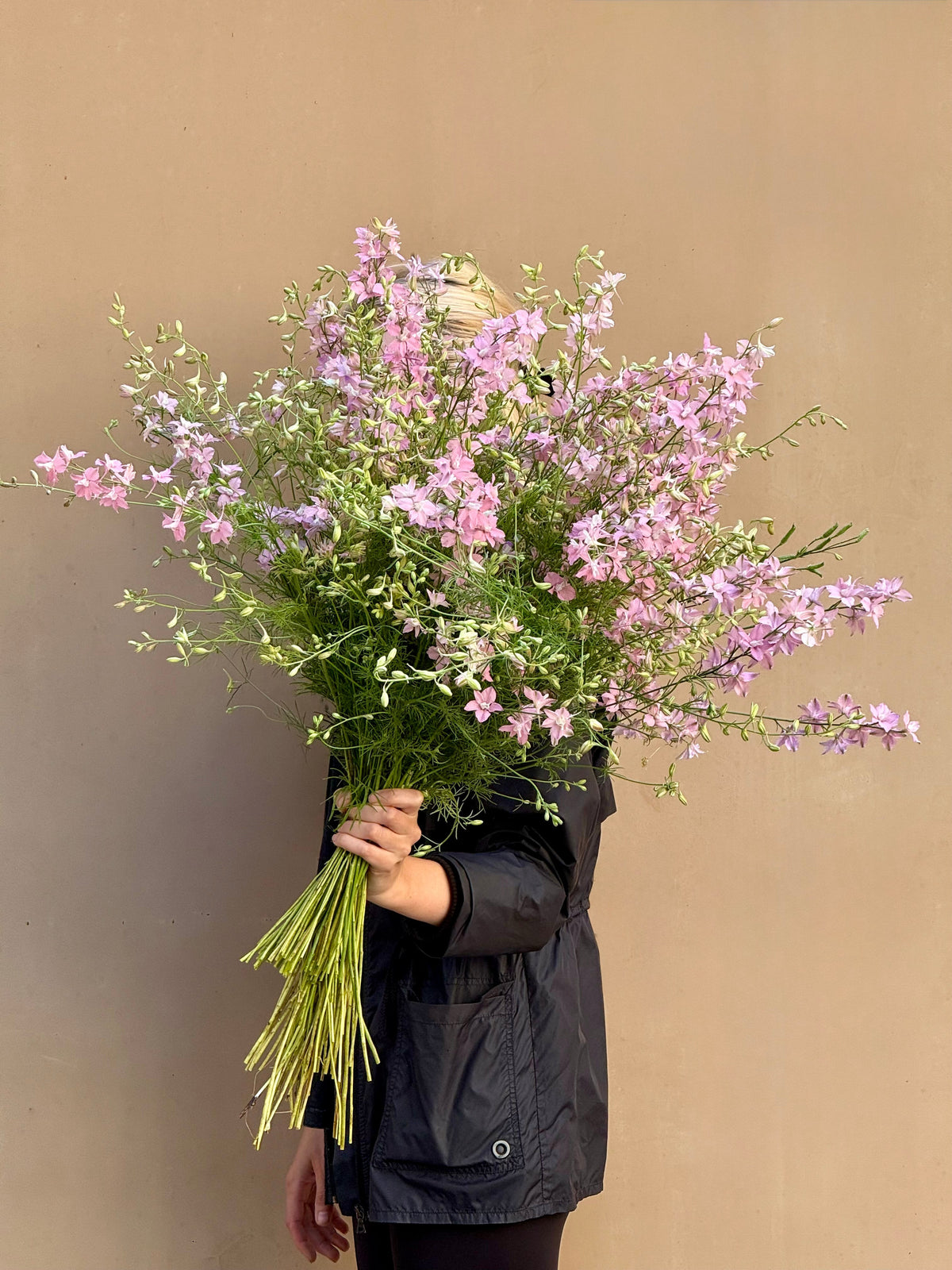 Delphinium consolida QIS® Light Pink | Larkspur therapyofflowers.com
