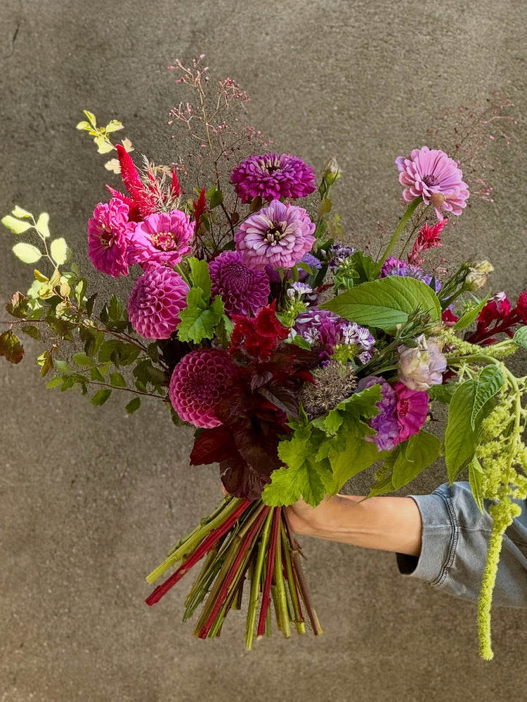 Deep Purple-Colored Flower Seeds | Elegant and Rich Purple Flowers for Your Garden