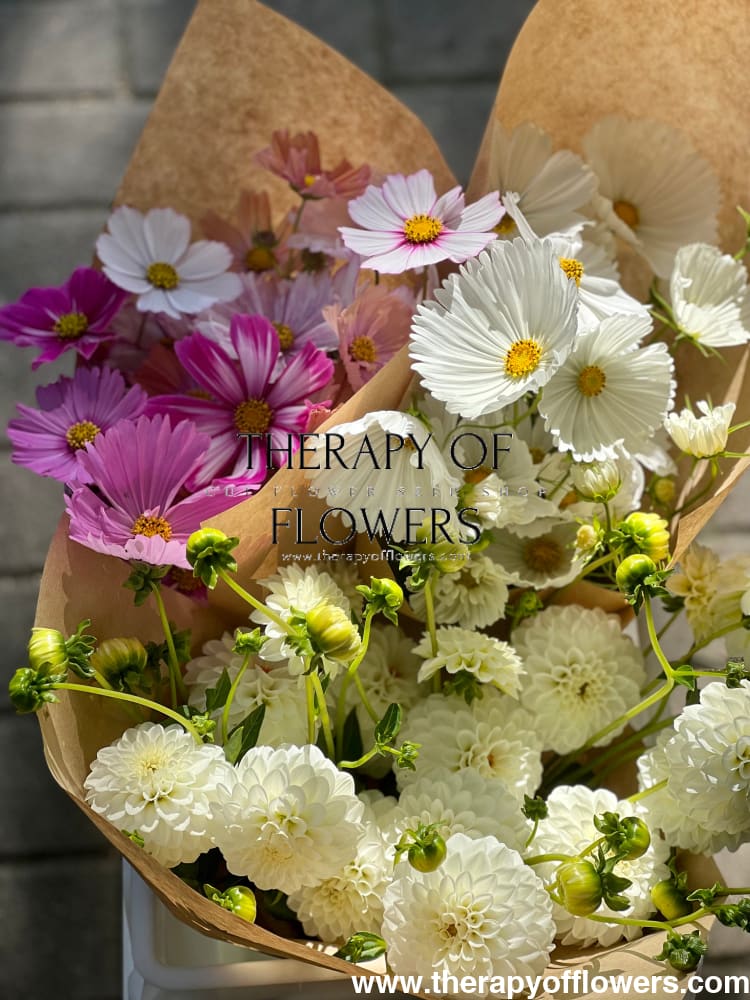 C – Flower Seeds