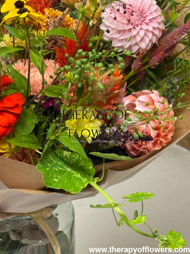 Apricot-Colored Flowers | A Soft and Elegant Touch for Your Garden