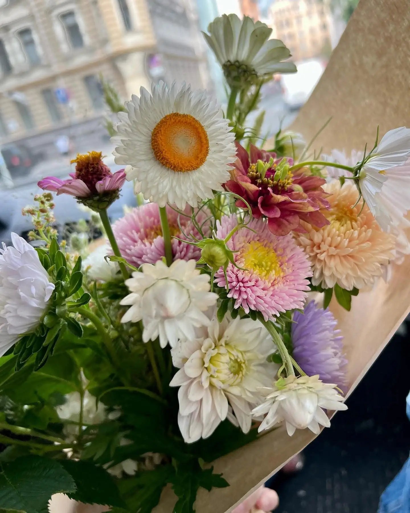 Cut Flower Seeds | Grow Beautiful Flowers for Bouquets & Arrangements