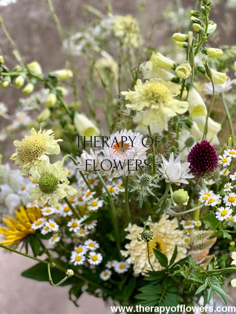 H – Flower Seeds