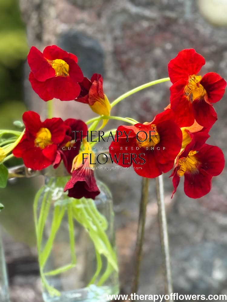 Edible Flowers - therapyofflowers.com