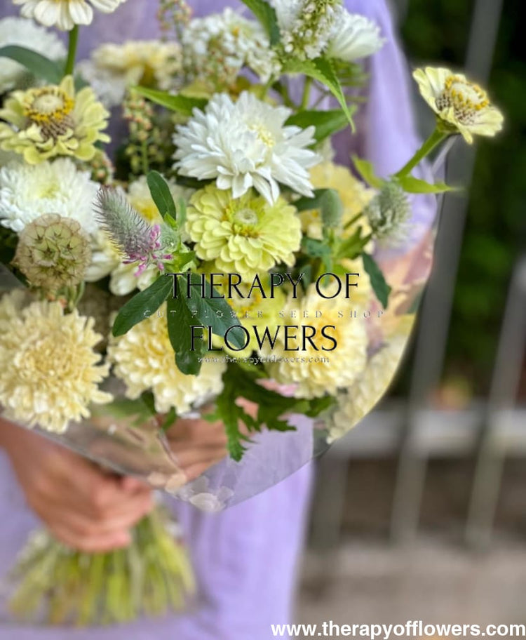 Green Flowers | Unique and Elegant Green Blooms for Your Garden