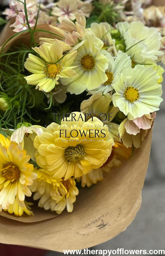 Yellow-Colored Flowers | Vibrant Yellow Flower Seeds for a Bright Garden