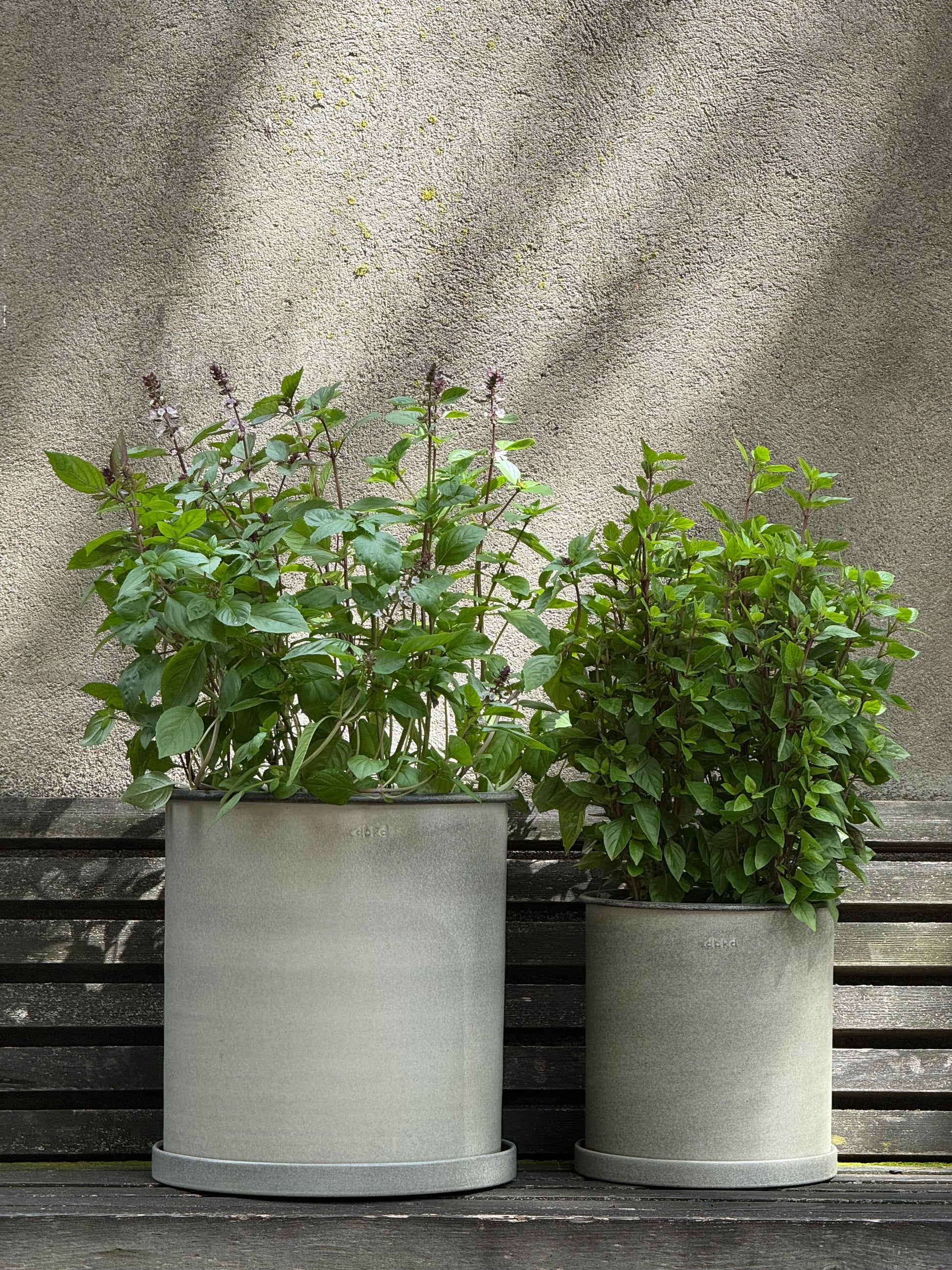 DBKD Plant Pot Large 2-Set - Beige | Scandinavian Metal Planters with Matching Saucers DBKD