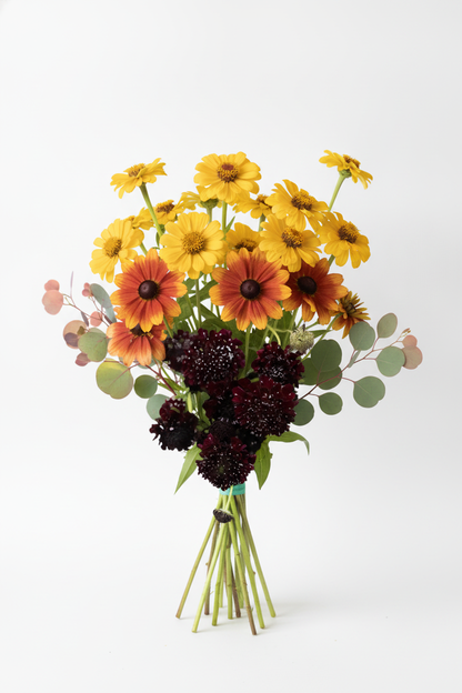 Vibrant Flower Collection