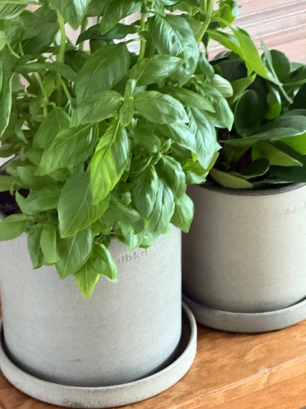 DBKD Plant Pot Small 2-Set, Beige | Scandinavian Metal Plant Pots with Matching Saucers DBKD