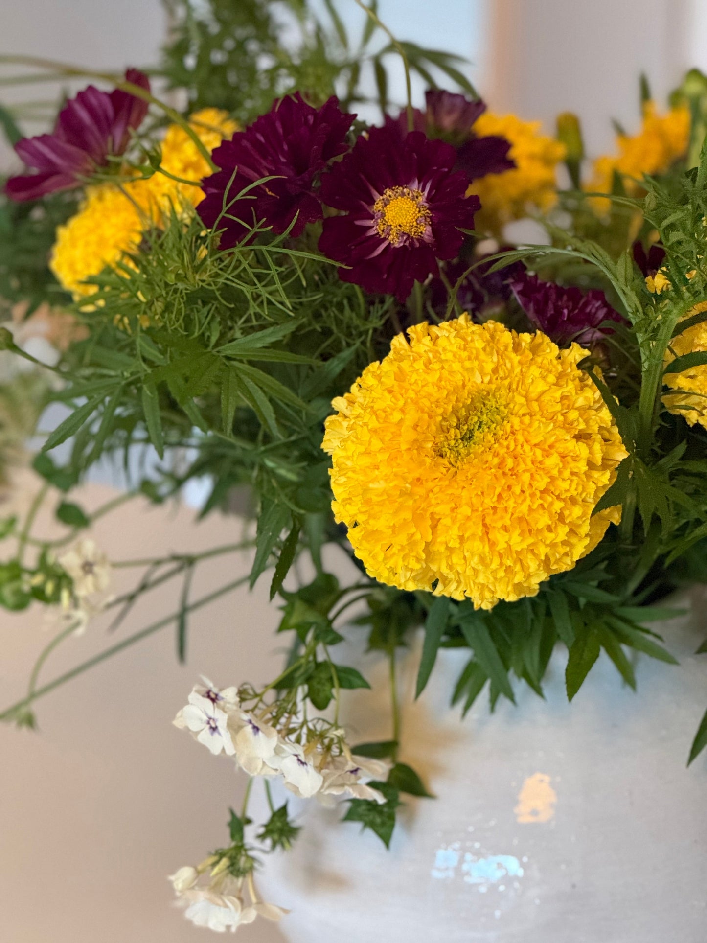 Tagetes erecta Narai Creamy Yellow | African Marigold | Cut Flower therapyofflowers.com