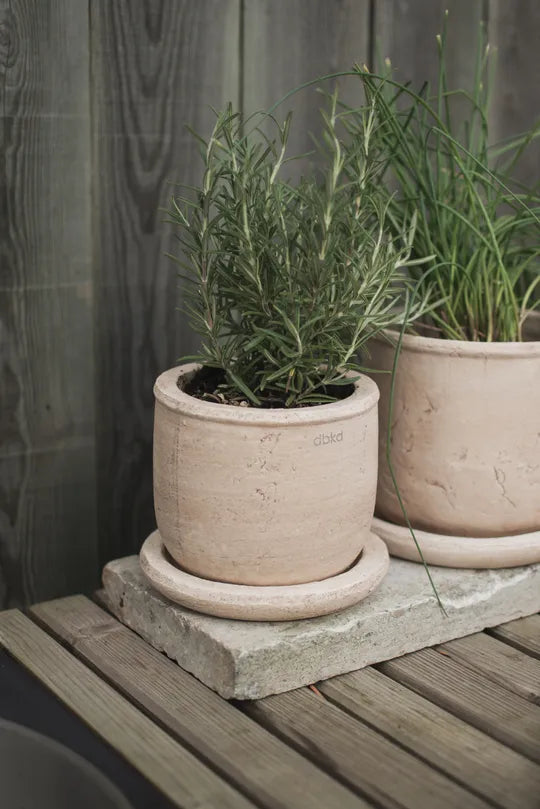 DBKD Terra Small Plant Pot | Sand | Natural Terracotta Pot DBKD