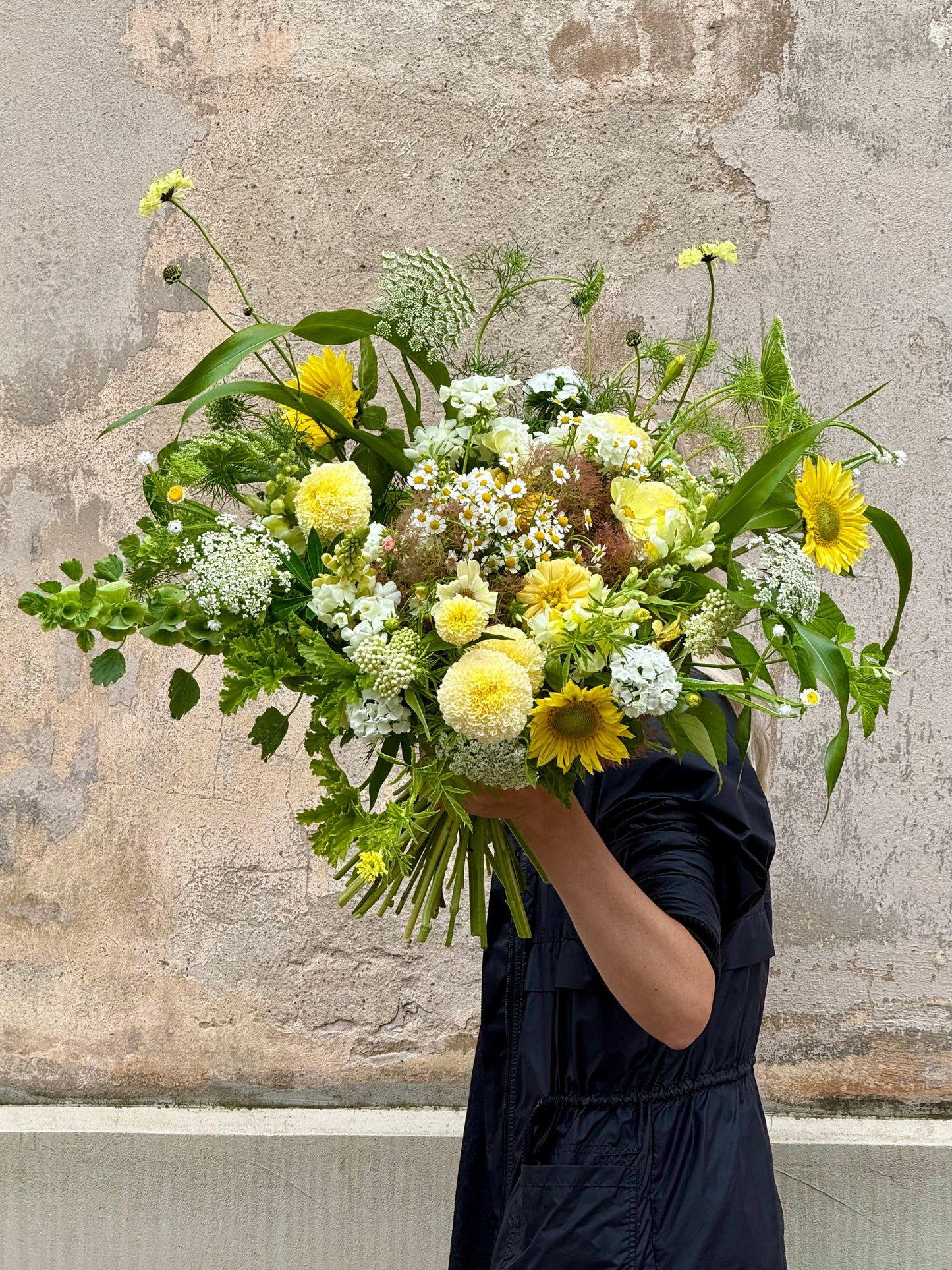Tagetes erecta Swan White F1 | African Marigold | 60-65cm | White Cut Flower Variety therapyofflowers.com