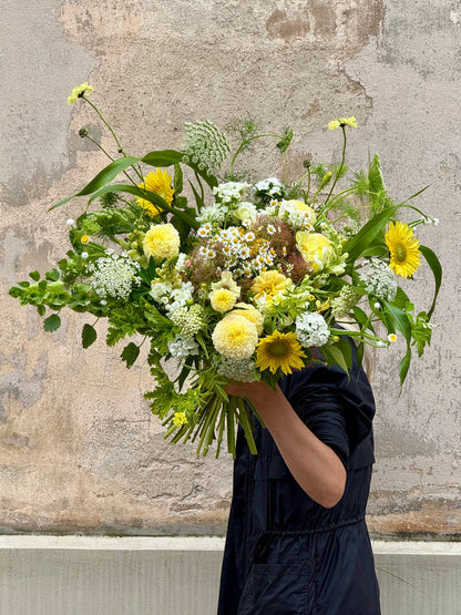 Tagetes erecta Swan White F1 | African Marigold | 60-65cm | White Cut Flower Variety therapyofflowers.com
