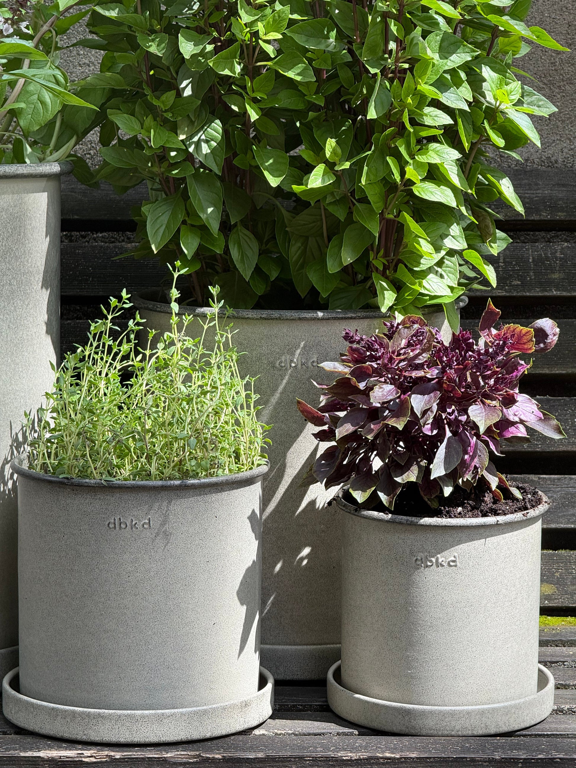 DBKD Plant Pot Small 2-Set, Beige | Scandinavian Metal Plant Pots with Matching Saucers DBKD
