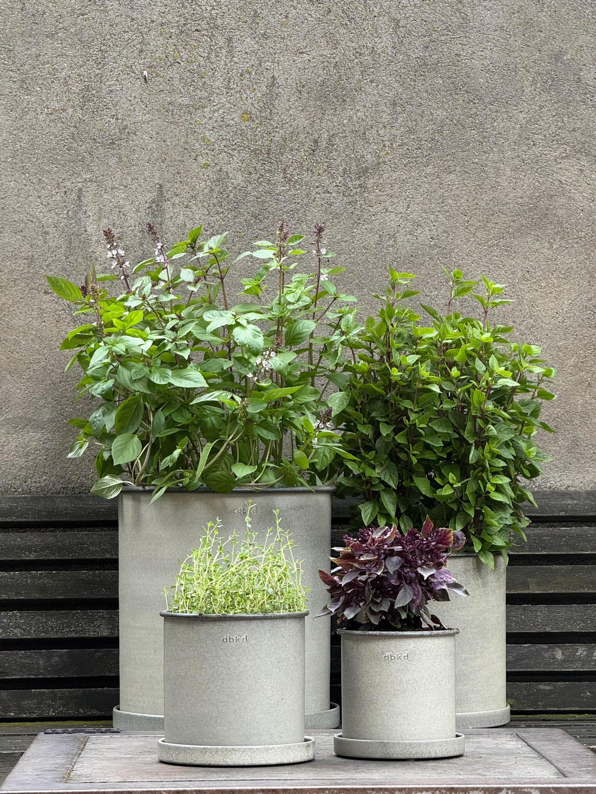 DBKD Plant Pot Large 2-Set - Beige | Scandinavian Metal Planters with Matching Saucers DBKD