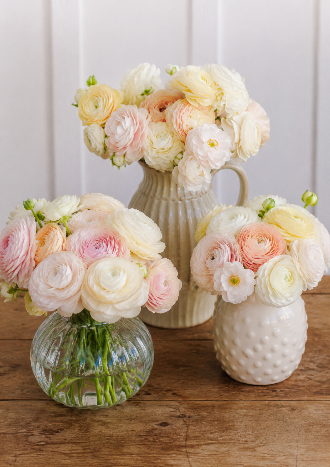 Ranunculus Amandine Wedding Pastels | Ranunculus asiaticus | Persian buttercup therapyofflowers.com