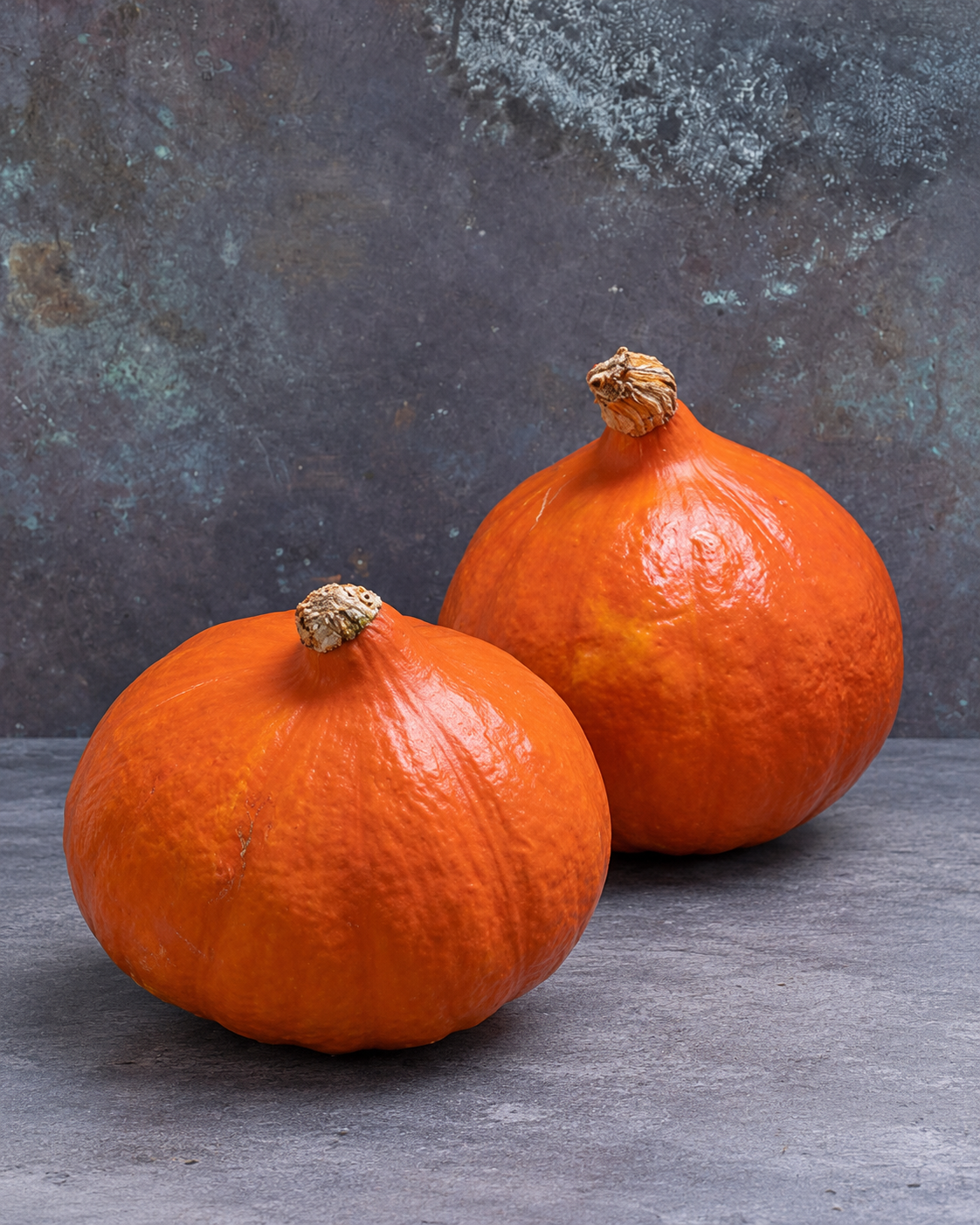 Cucurbita maxima Uchiki Kuri F1 | Winter Squash