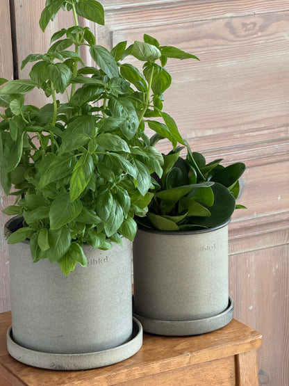 DBKD Plant Pot Small 2-Set, Beige | Scandinavian Metal Plant Pots with Matching Saucers DBKD
