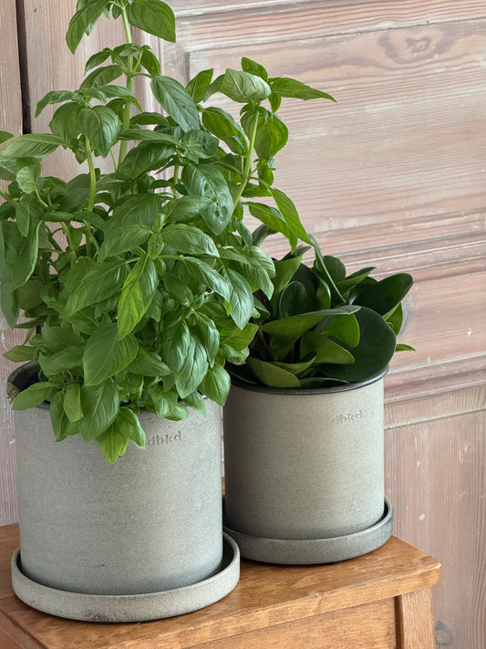 DBKD Plant Pot Small 2-Set, Beige | Scandinavian Metal Plant Pots with Matching Saucers DBKD