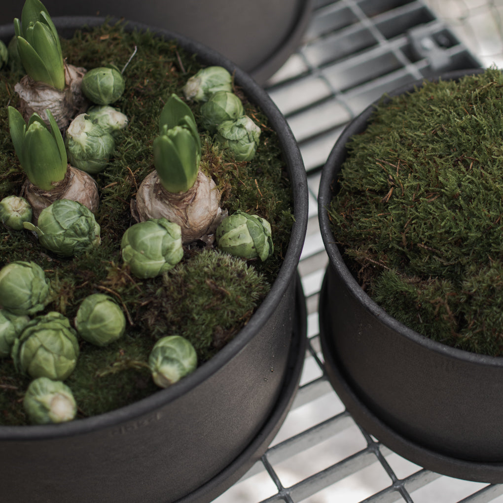 DBKD Plant Bowl Medium 2-Set – Brown | Scandinavian Metal Planters with Matching Saucers DBKD