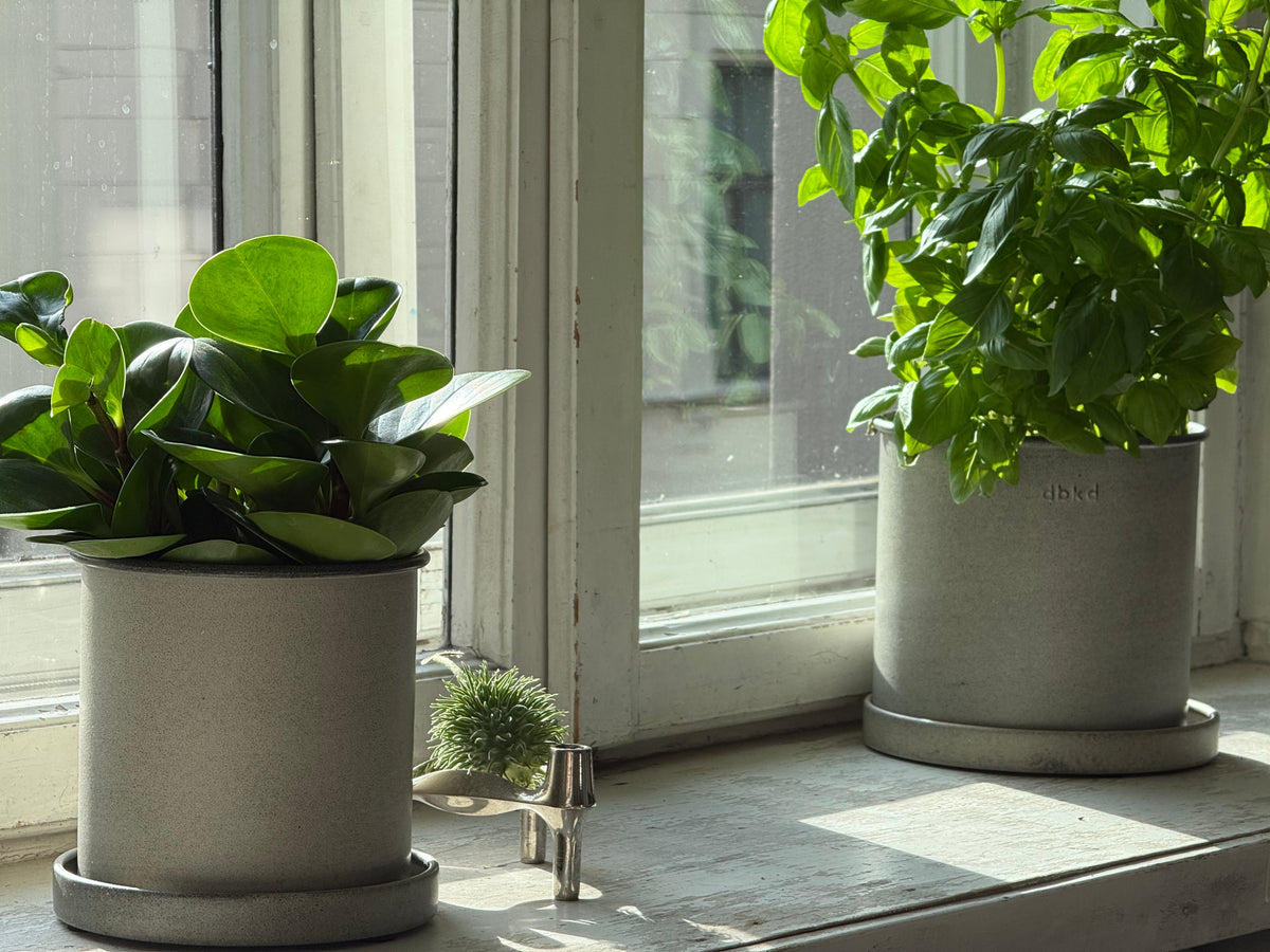 DBKD Plant Pot Small 2-Set, Beige | Scandinavian Metal Plant Pots with Matching Saucers DBKD