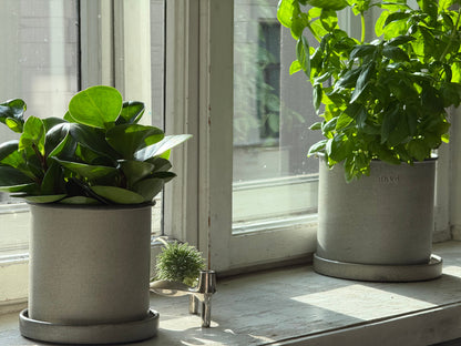 DBKD Plant Pot Small 2-Set, Beige | Scandinavian Metal Plant Pots with Matching Saucers DBKD