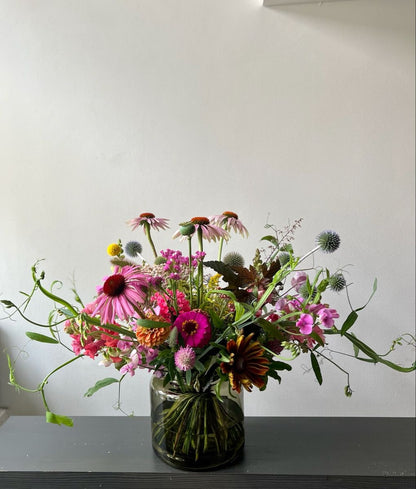 Echinacea purpurea Primadonna® Deep Rose
