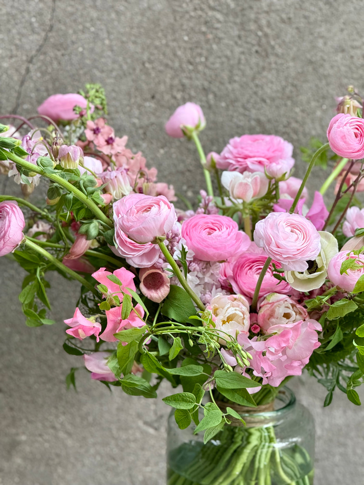 Ранункулюс Elegance® ROSA CHIARO 2P10 | Ranunculus asiaticus