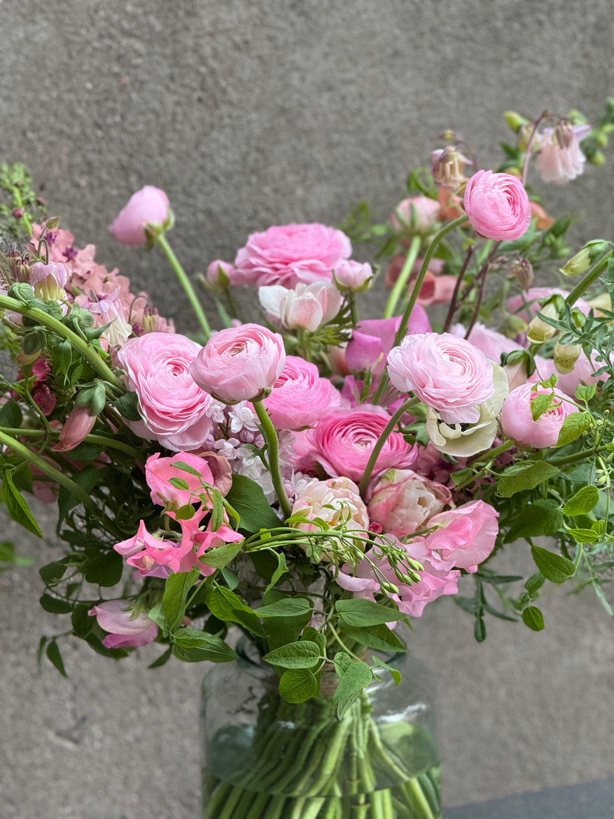 Ранункулюс Elegance® ROSA CHIARO 2P10 | Ranunculus asiaticus