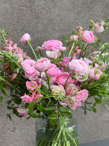 Āzijas gundega Elegance® ROSA CHIARO 2P10 | Ranunculus asiaticus | Guma izmērs 4/5