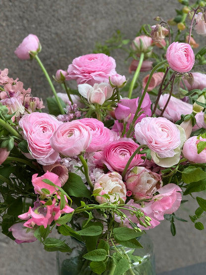Āzijas gundega Elegance® ROSA CHIARO 2P10 | Ranunculus asiaticus | Guma izmērs 4/5