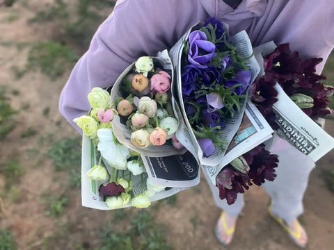 Spring flowers - anemones, italian ranunculus and tulips