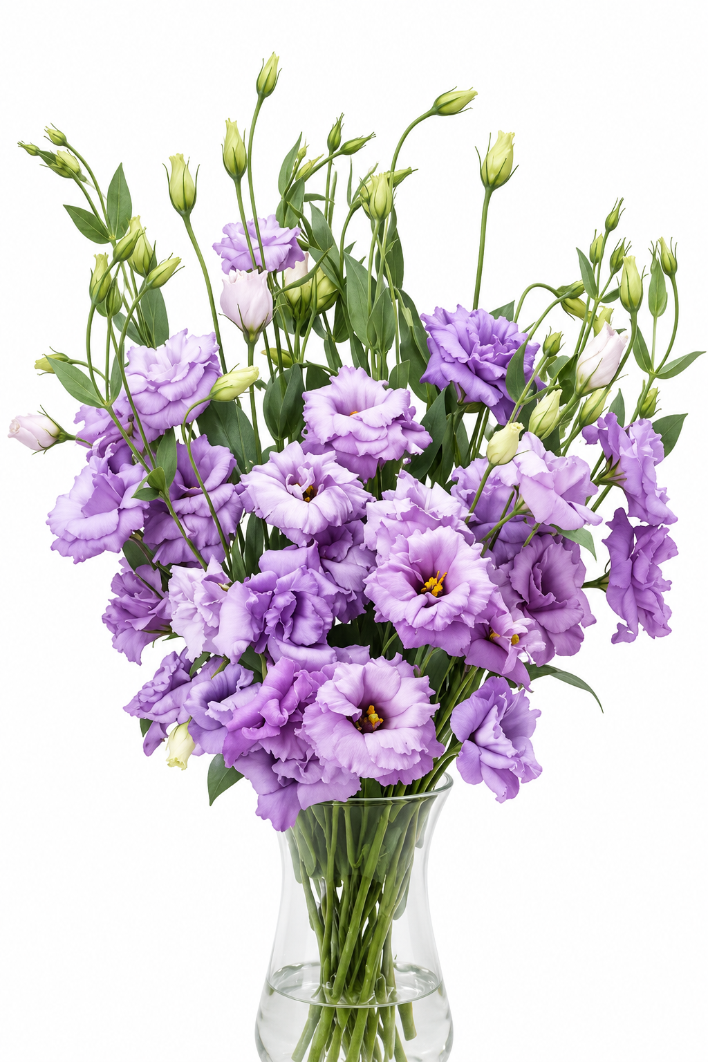 Eustoma grandiflorum ABC™ Lavender II F1 | Lisianthus | Pelleted Seeds therapyofflowers.com