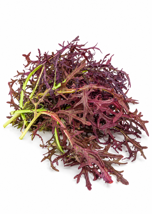 Mustard Charis | Japanese Mustard Greens | Seeds