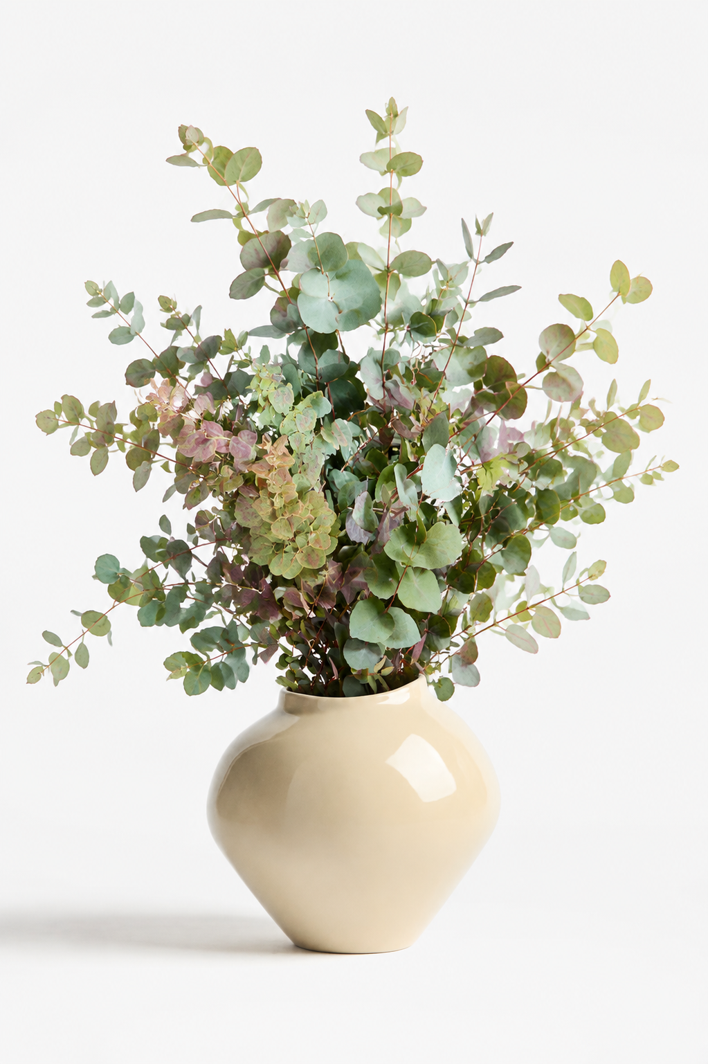 Eucalyptus stuartiana | Apple-scented Gum therapyofflowers.com