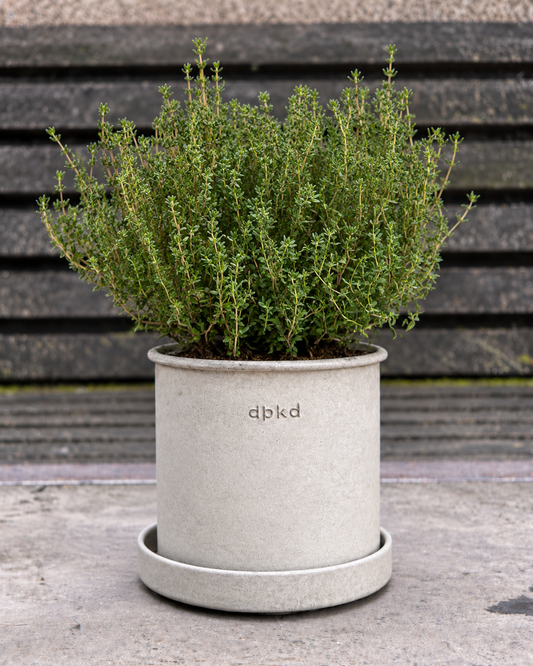 Thym SimplyHerbs™ | Thymus vulgaris | Granulés multi-graines